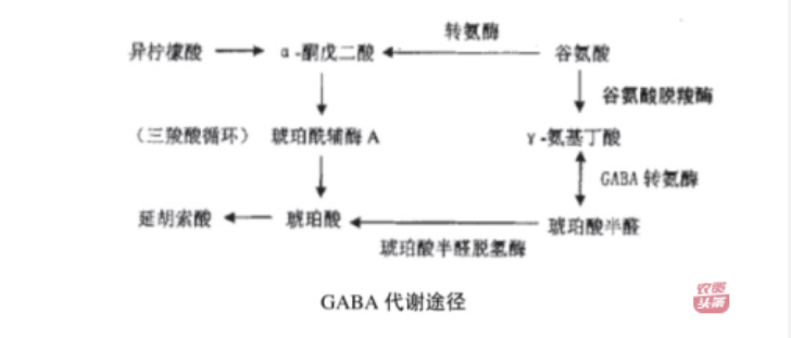 微信圖片_20250510203623.png