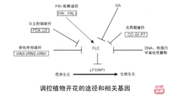 微信圖片_20250510203623.png