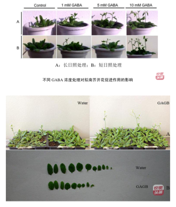 微信圖片_20250510203623.png