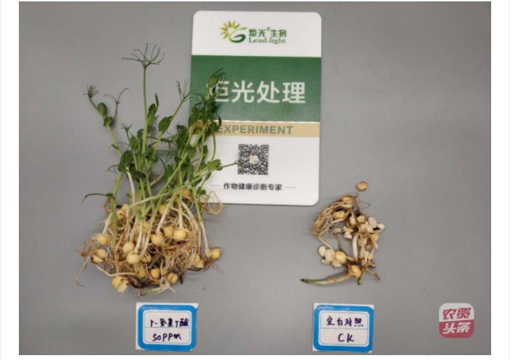 微信圖片_20250510203623.png