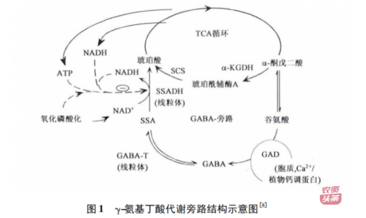微信圖片_20250510203623.png